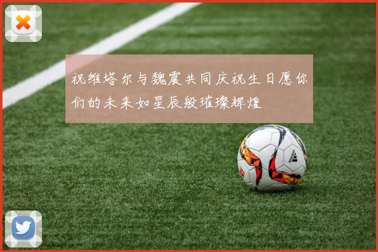 祝维塔尔与魏震共同庆祝生日愿你们的未来如星辰般璀璨辉煌